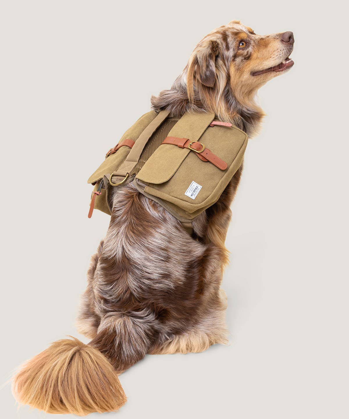 Explorer Ranger Pack