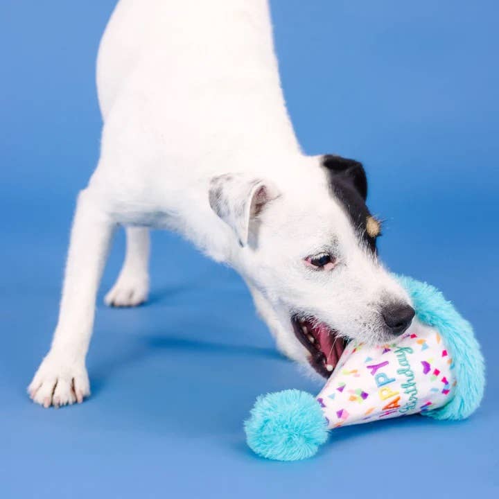 Yappy Barkday! Rubber & Plush Treat Dispenser Dog Toy