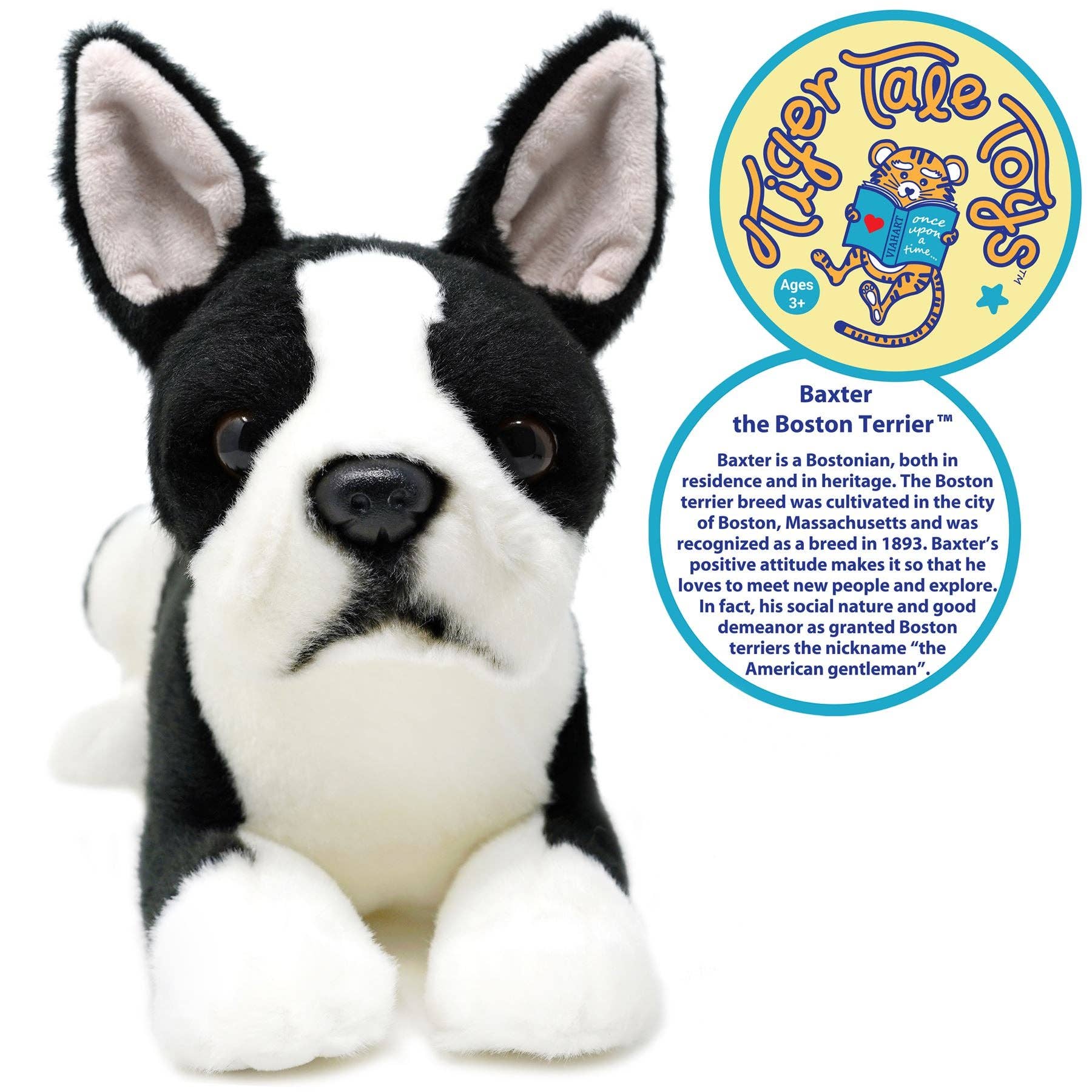 Baxter the Boston Terrier — 13" Stuffed Animal Plush