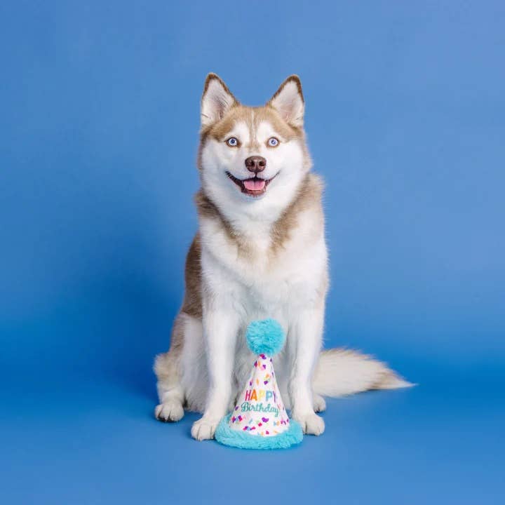 Yappy Barkday! Rubber & Plush Treat Dispenser Dog Toy