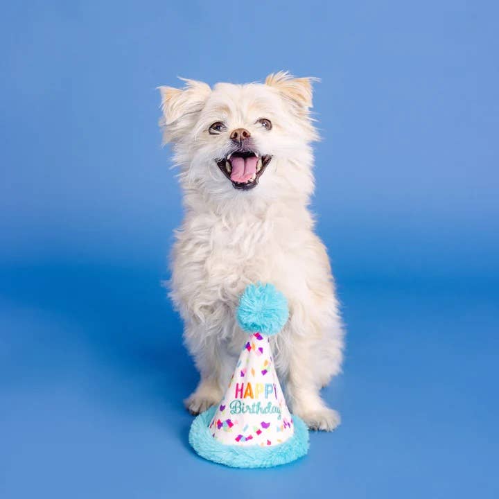 Yappy Barkday! Rubber & Plush Treat Dispenser Dog Toy