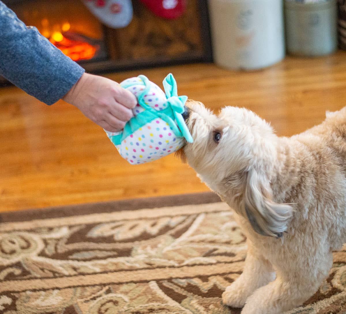 Birthday Gift Box Squeaky Plush Dog Toy | 6"
