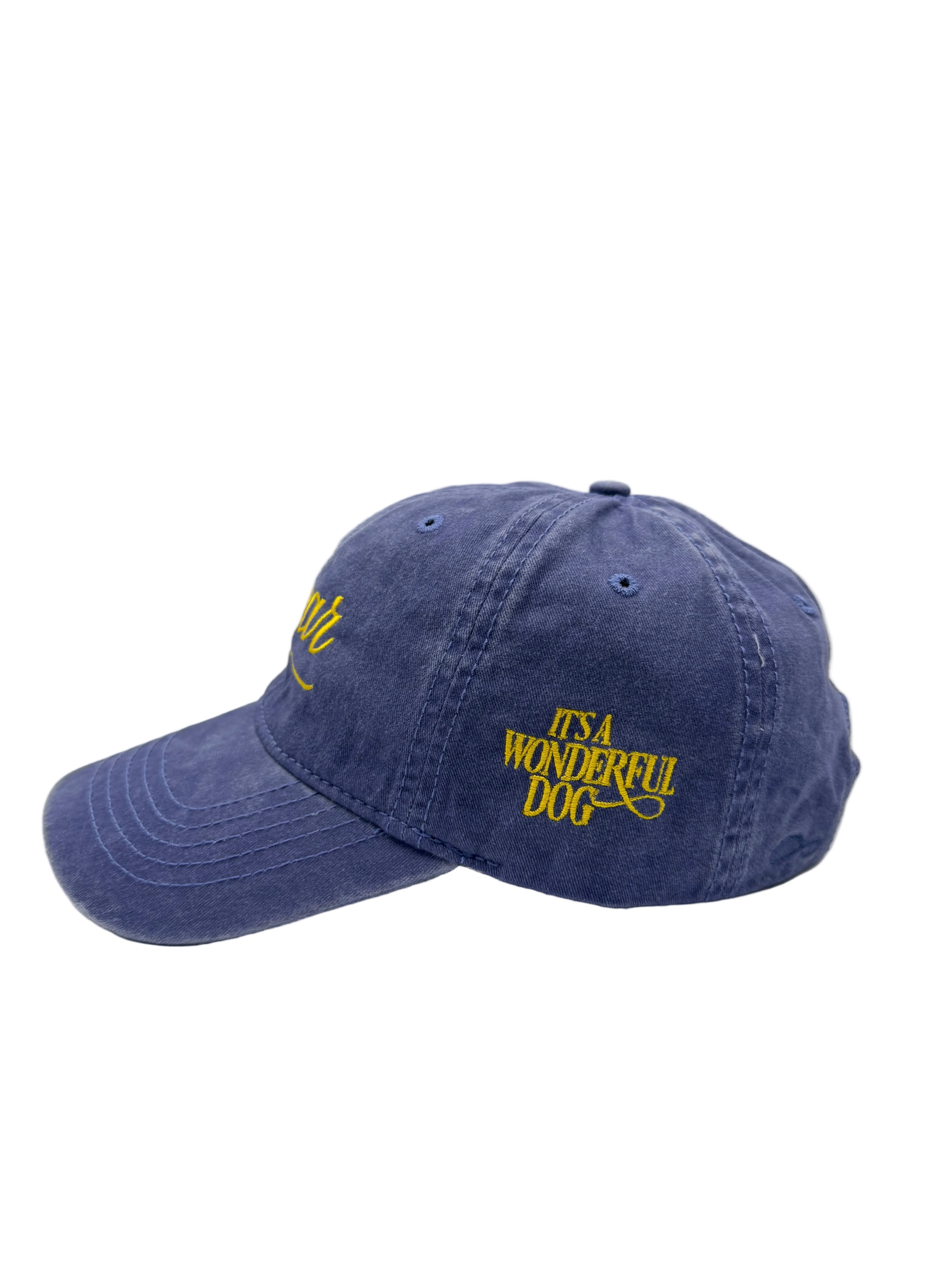 The Bear Cap – It’s a Wonderful Dog