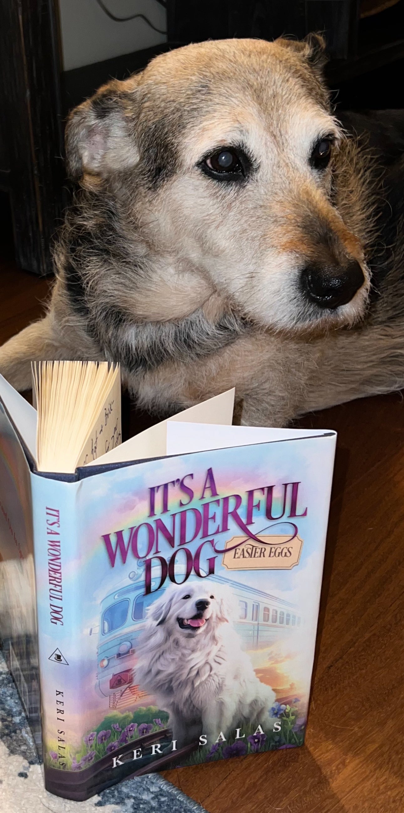 It's a Wonderful Dog: Easter Eggs — Book Two in the Series (Hardcover)