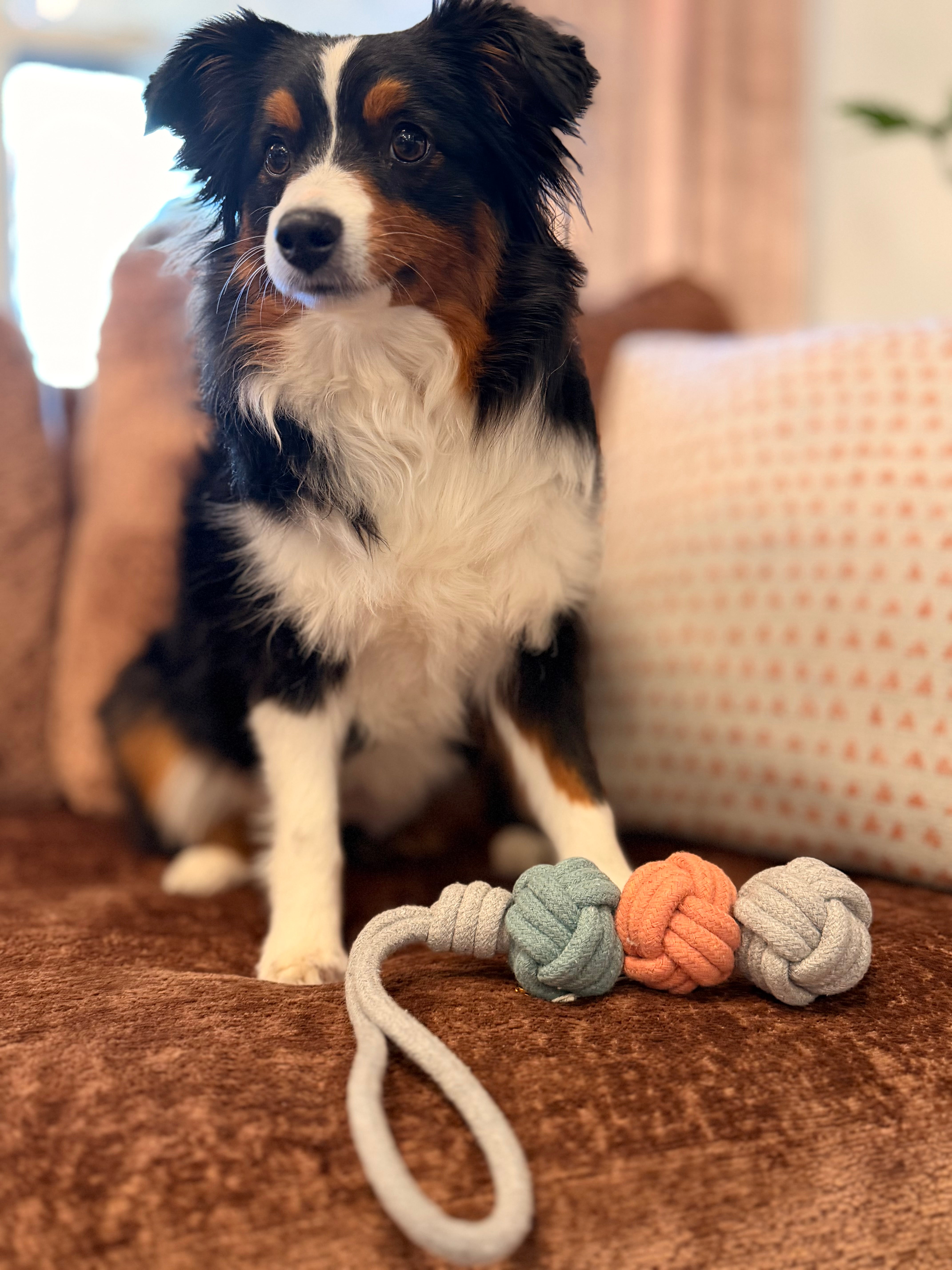 Ice Cream Scoops Rope Toy