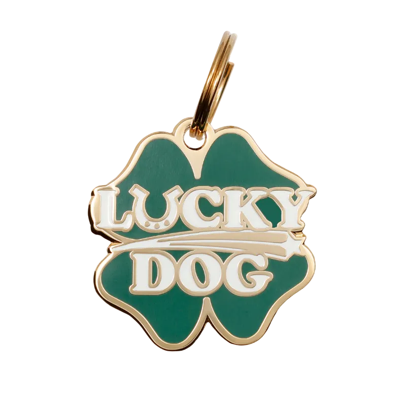 Funny & Sassy Pet Collar Tags