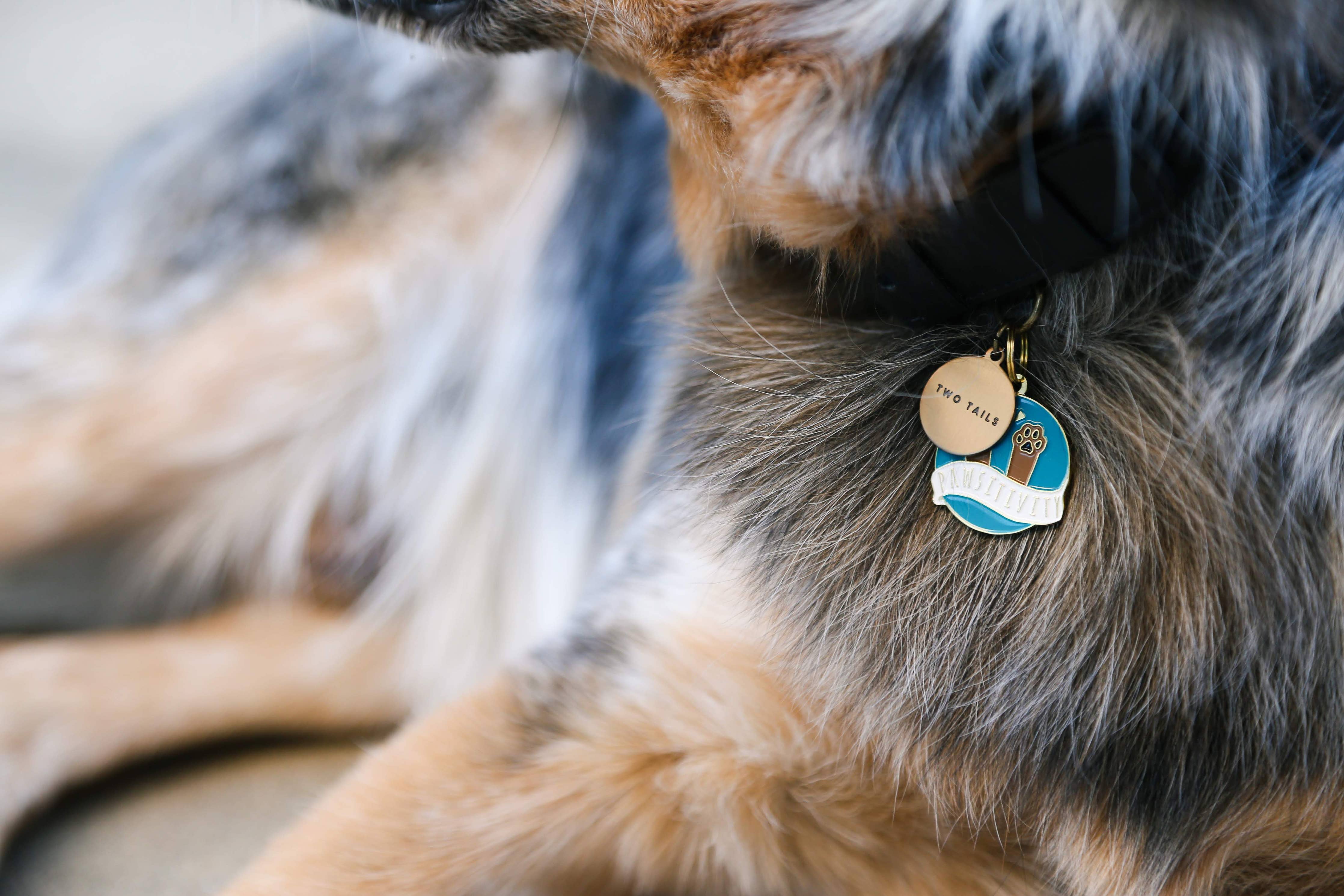 Sweet & Wholesome Pet Collar Tags