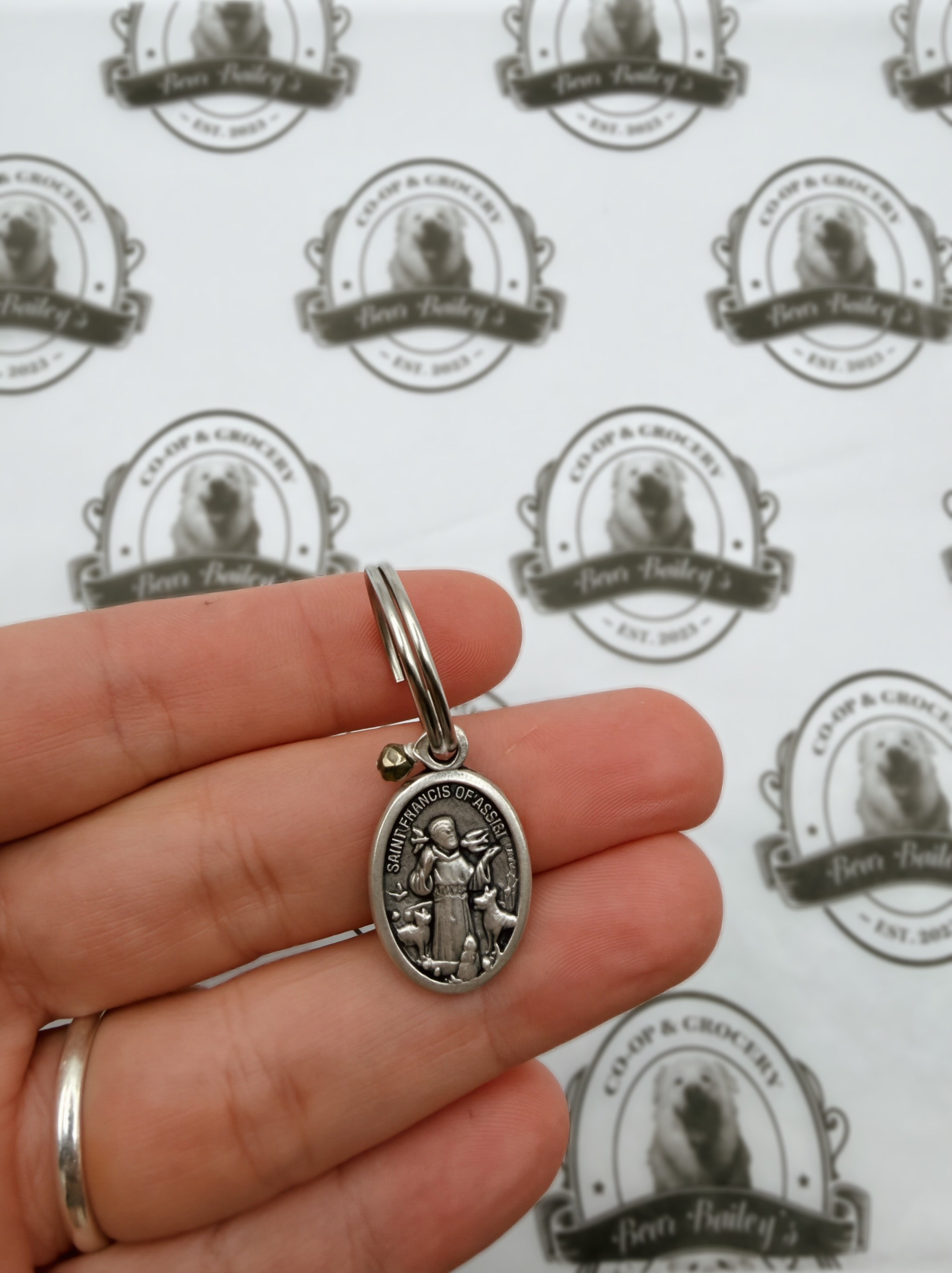 St. Francis Blessing Pet Charm