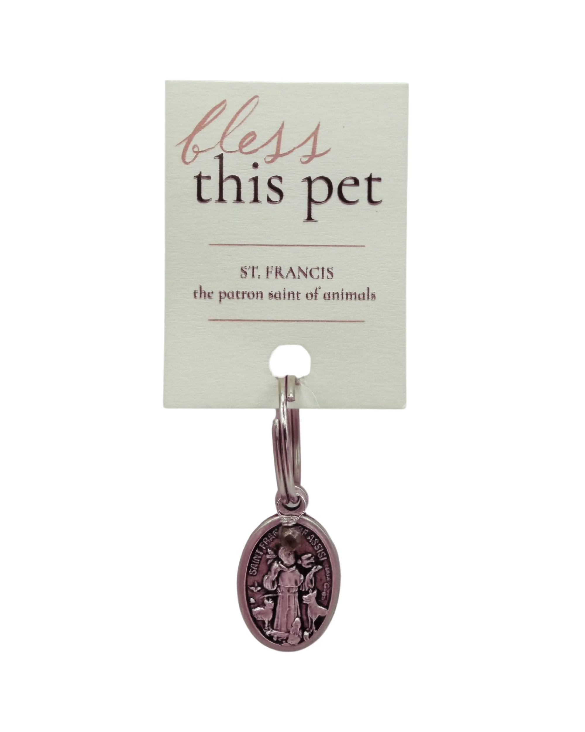 St. Francis Blessing Pet Charm