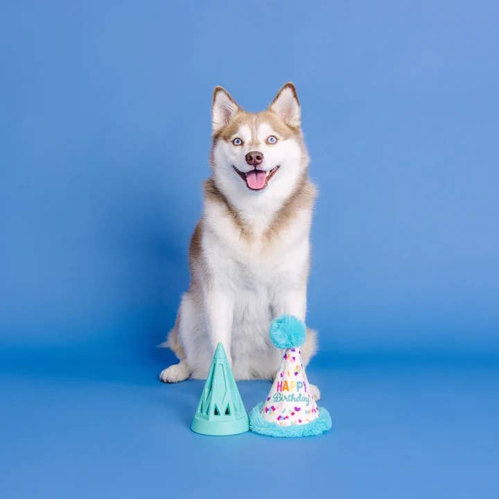 Yappy Barkday! Rubber & Plush Treat Dispenser Dog Toy