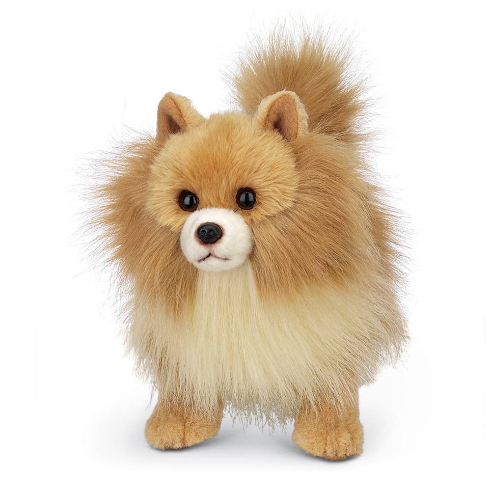Rudy the Pomeranian — 13" Stuffed Animal Plush