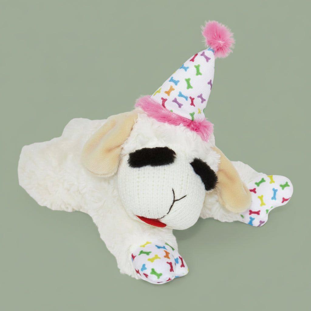 Plush dog toy with a party hat on a white background