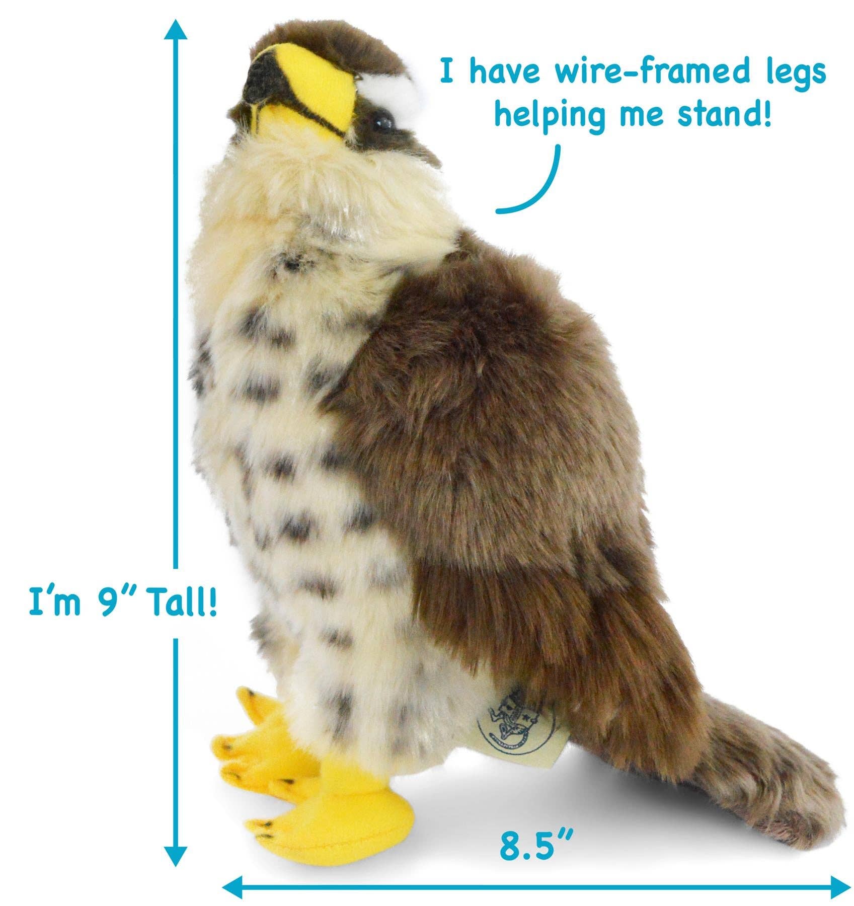 Percival the Peregrine Falcon — 9" Stuffed Animal Plush