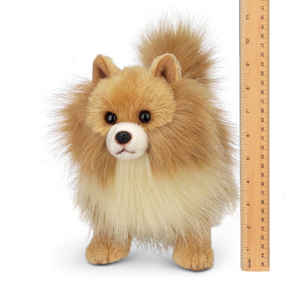Rudy the Pomeranian — 13" Stuffed Animal Plush