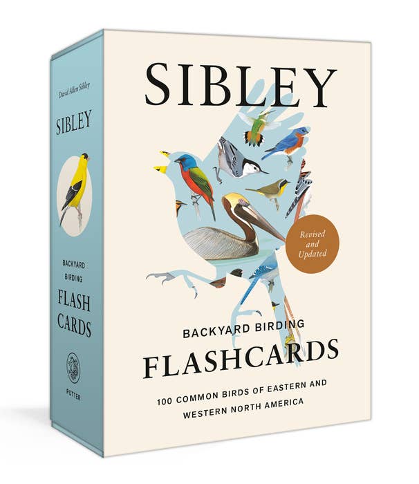 Sibley Backyard Bird Flashcards — Updated Edition