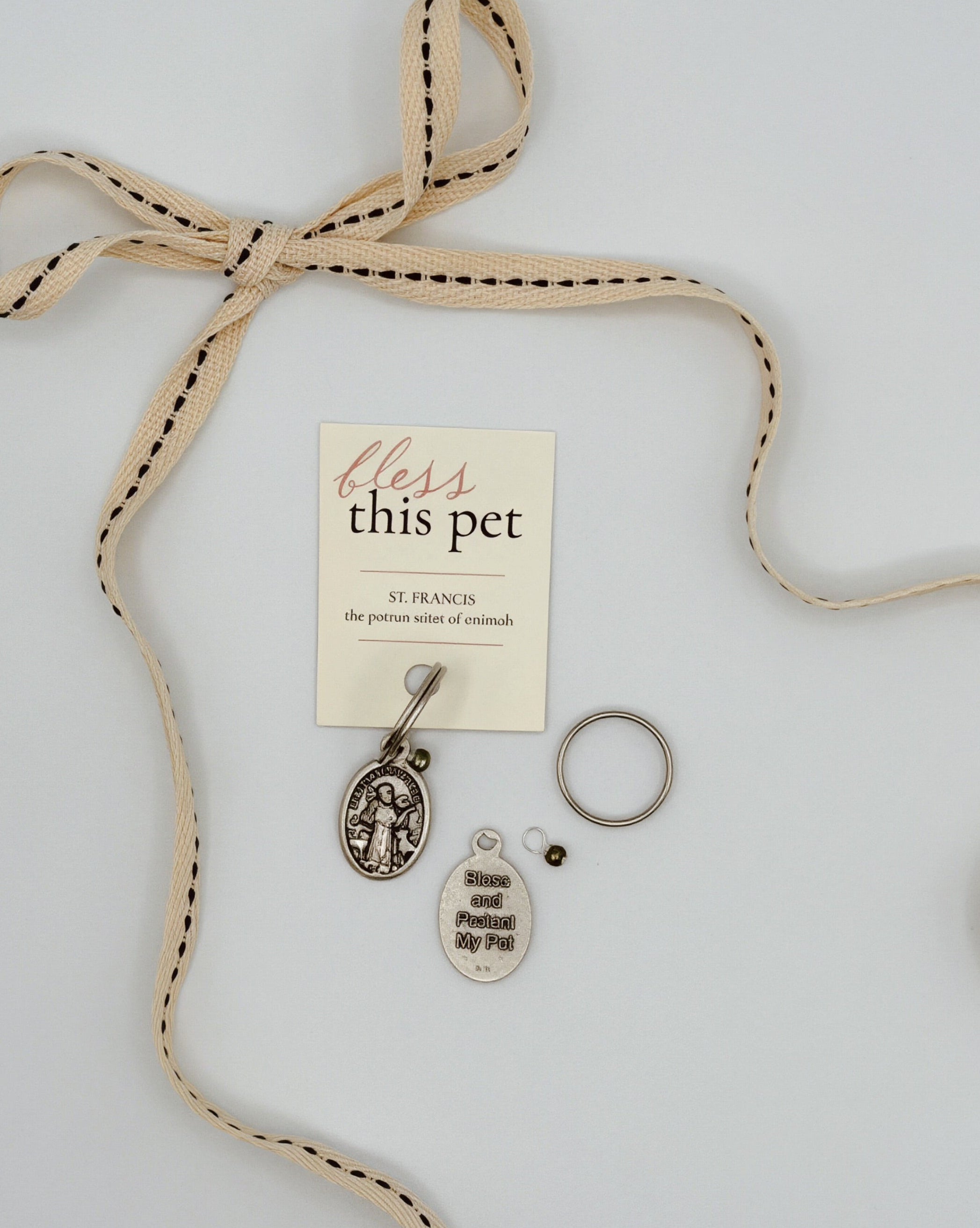 St. Francis Blessing Pet Charm