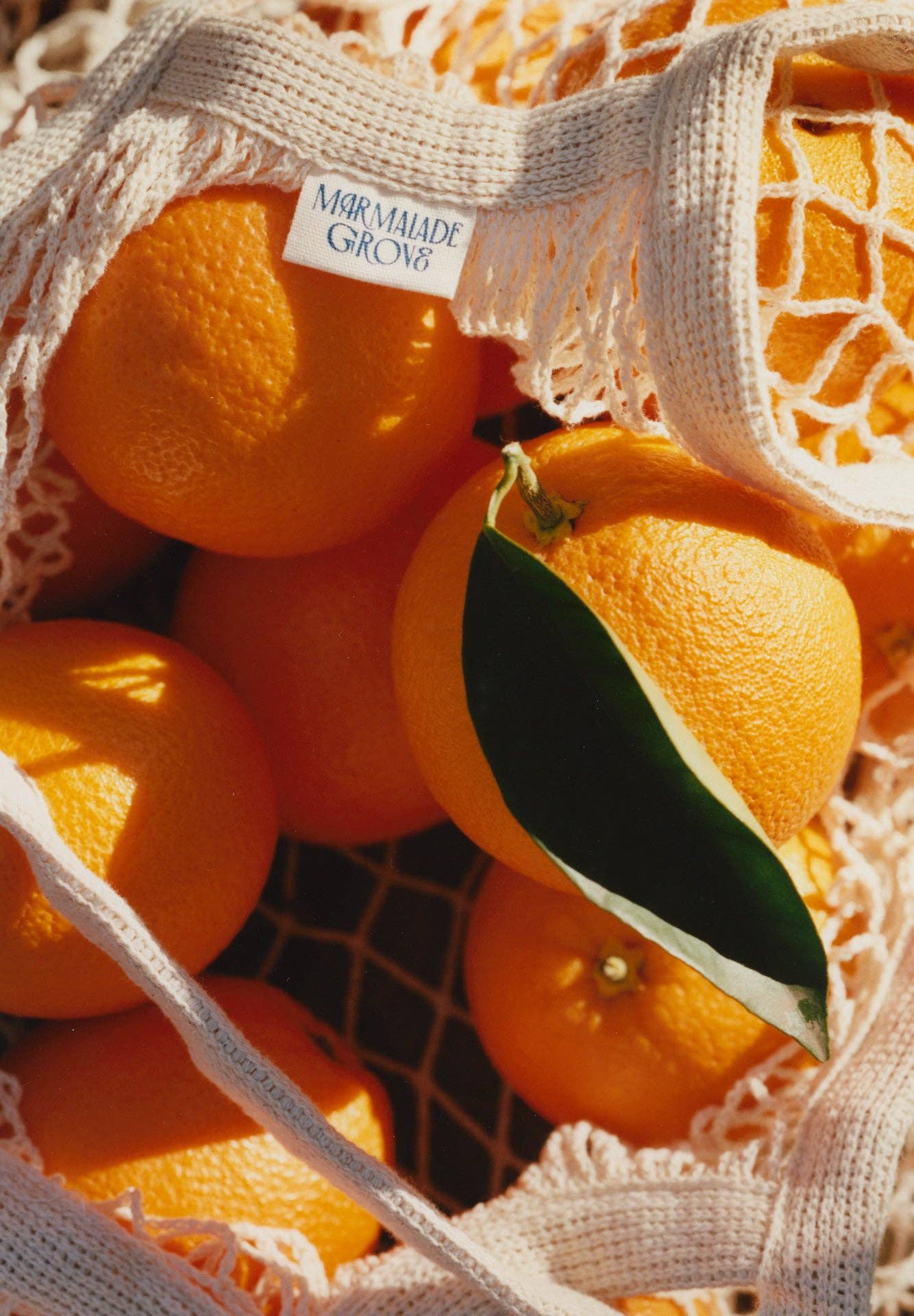 Tea Time Navel Orange & Ceylon Tea Marmalade
