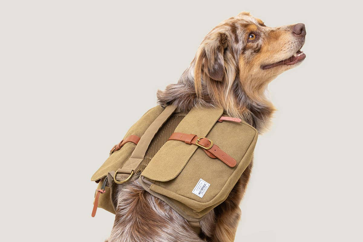 Explorer Ranger Pack