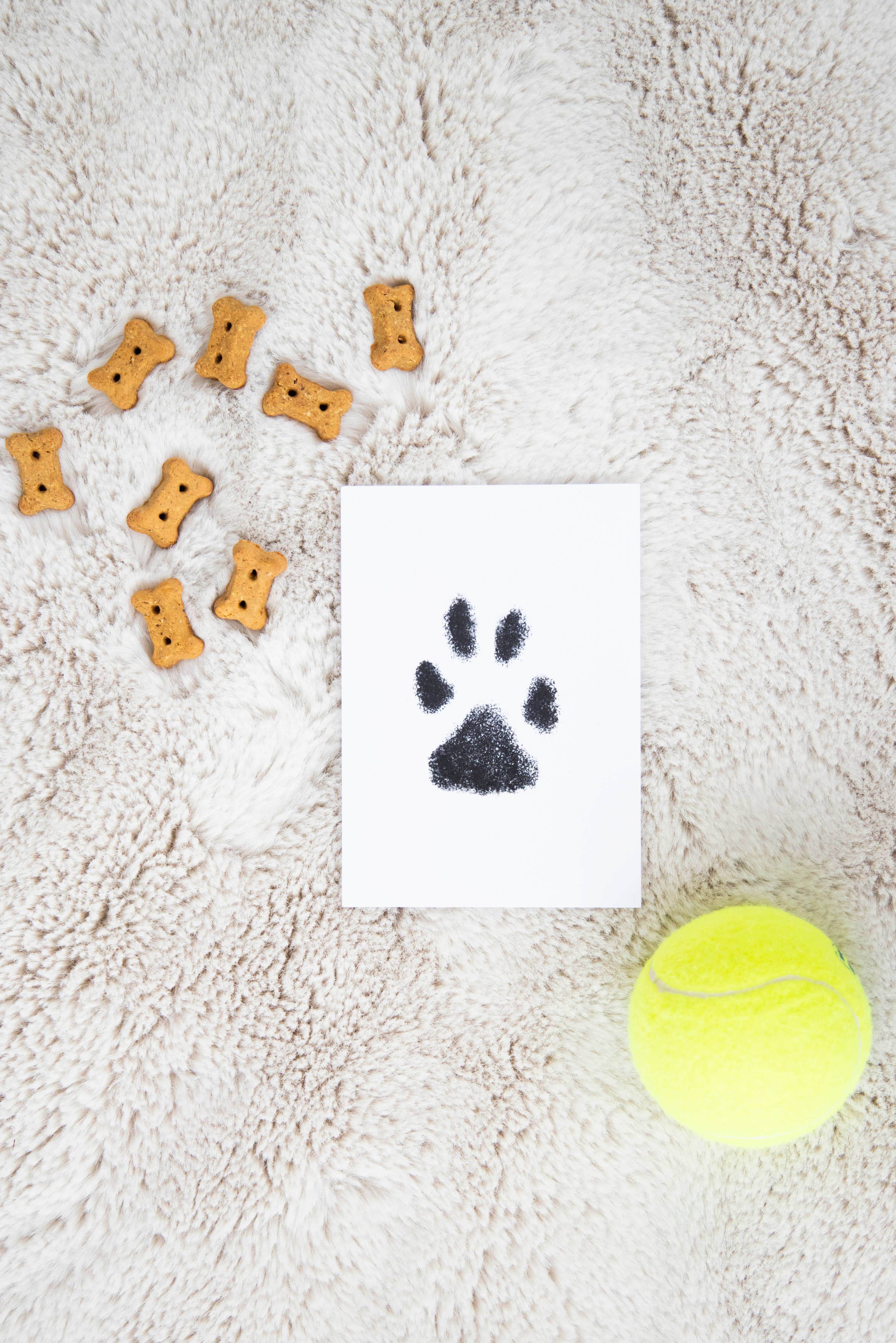 Pet Pawprint Clean-Touch Ink Pad