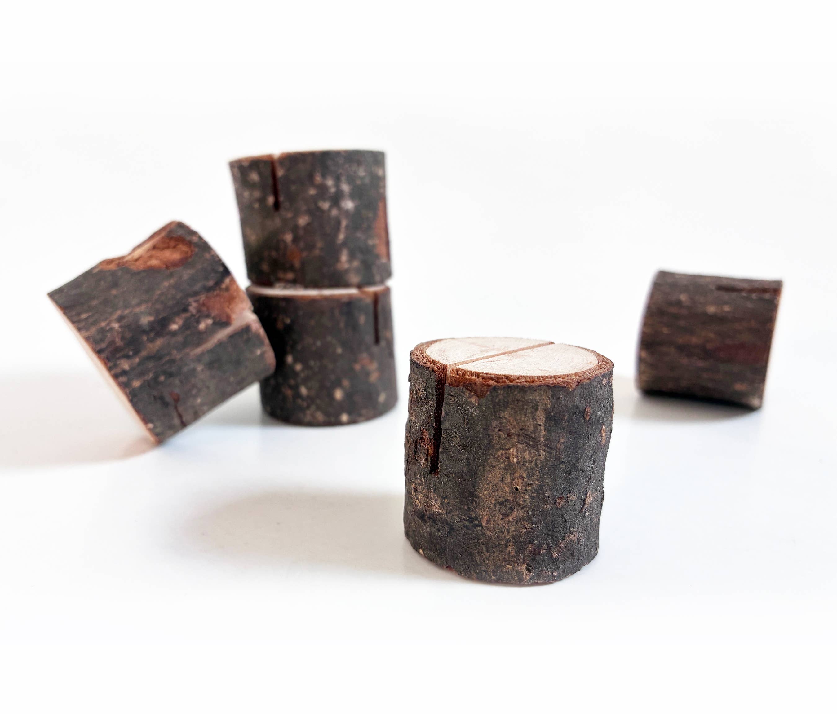 Tiny Tree Stump Card Holder | Nature-Inspired Greeting Card Stand