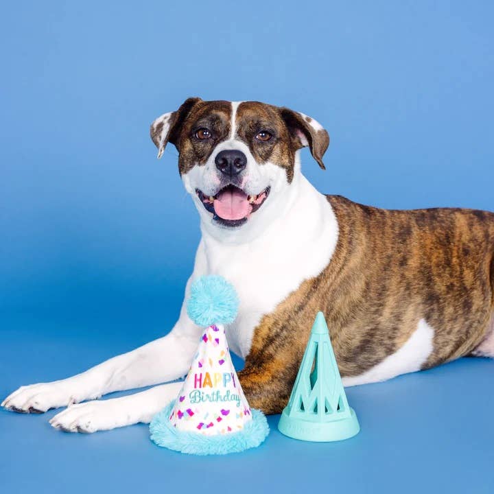 Yappy Barkday! Rubber & Plush Treat Dispenser Dog Toy