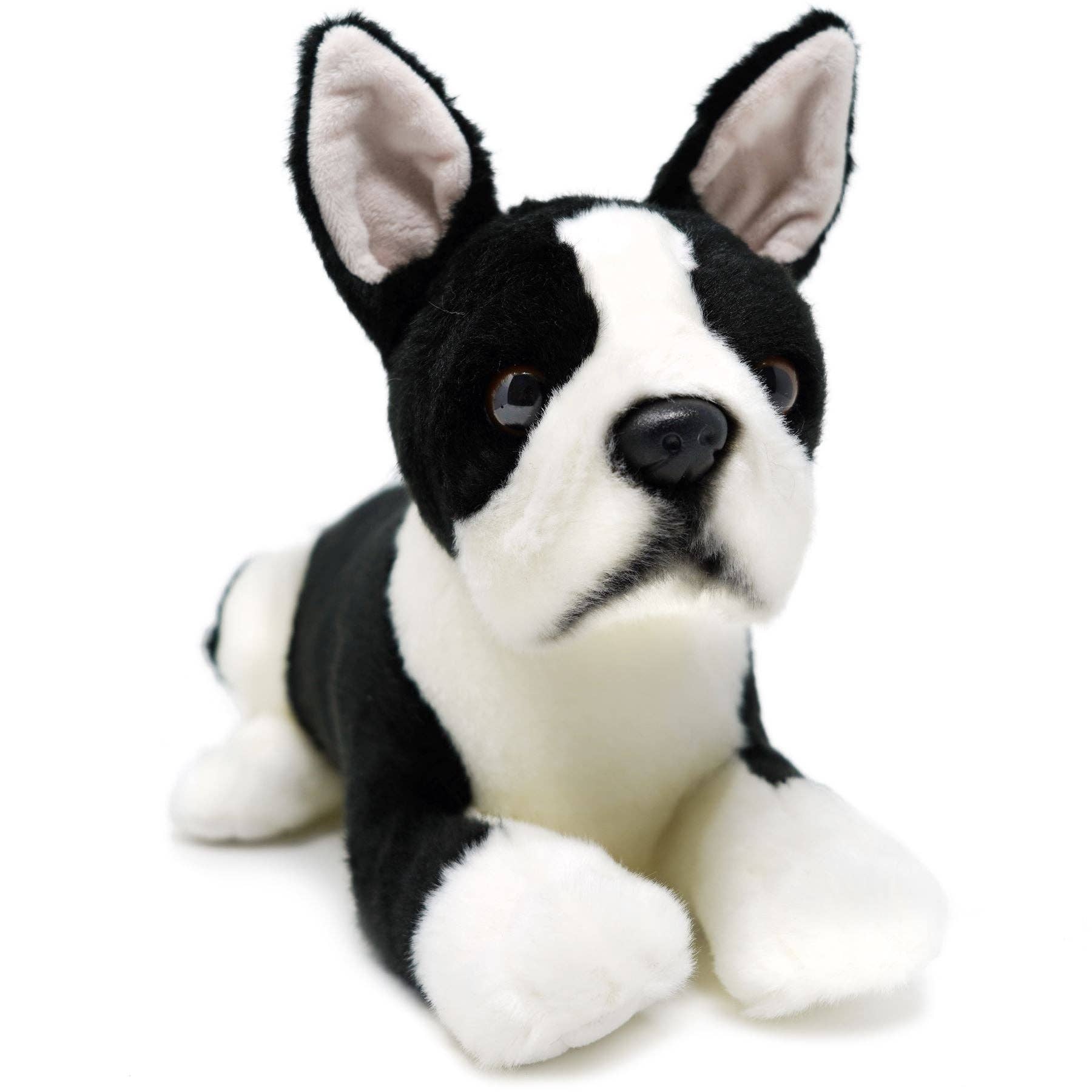 Baxter the Boston Terrier — 13" Stuffed Animal Plush
