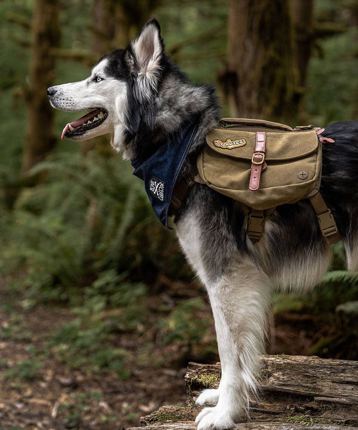 Explorer Iron-on Adventure Patch