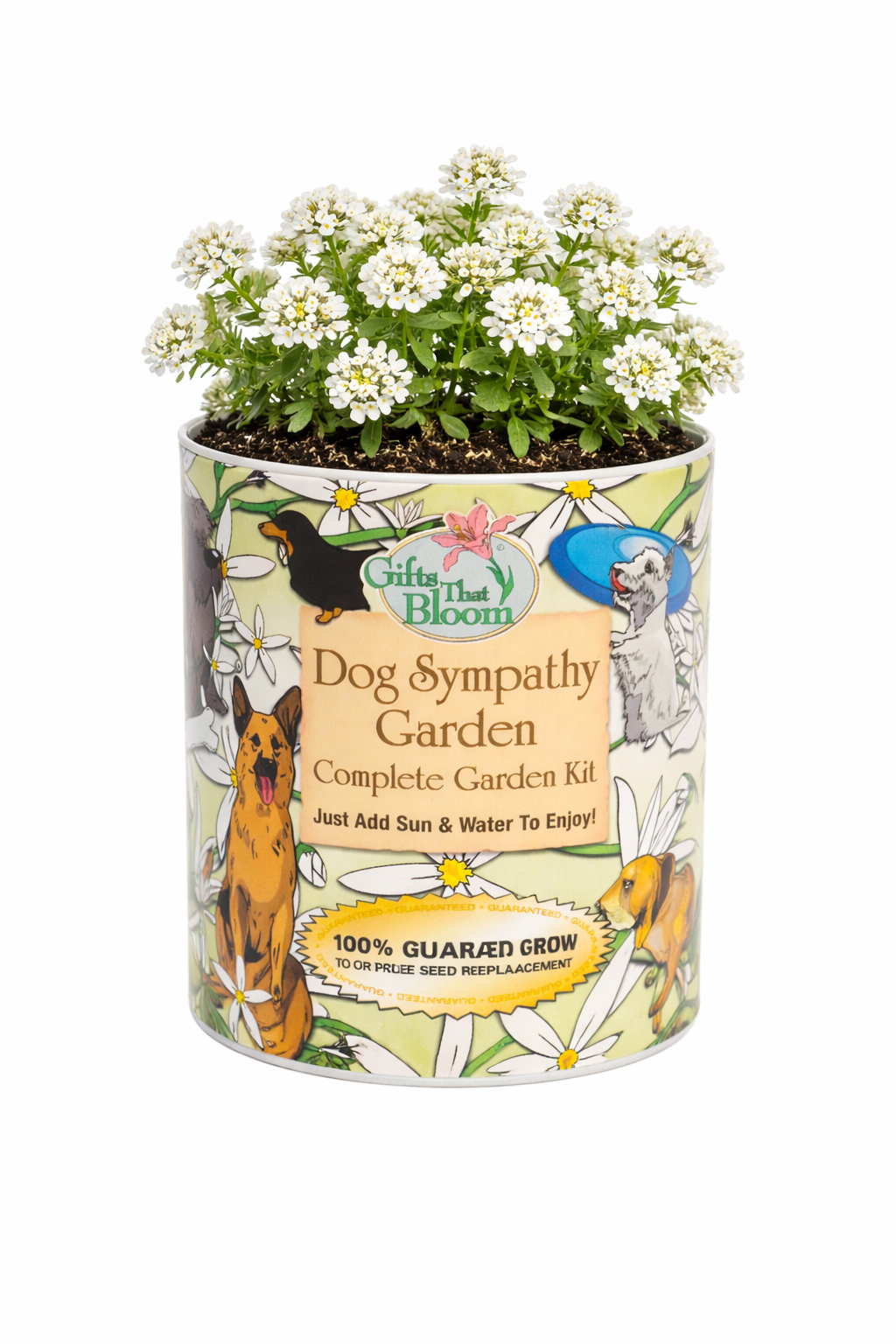 Dog Sympathy Garden Grocan Seed Kit