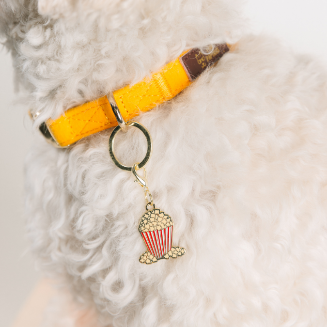 Popcorn Pet Collar Charm