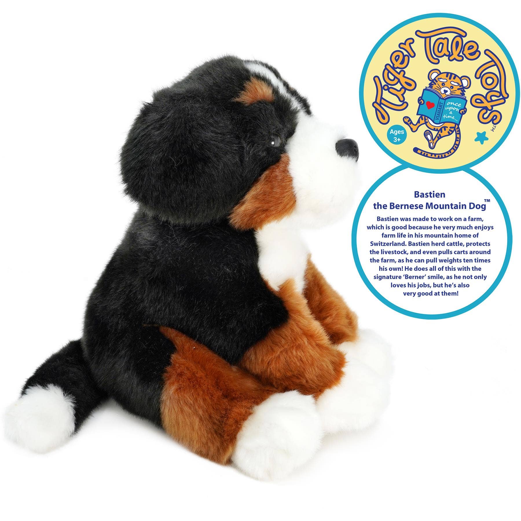 Bastien the Bernese Mountain Dog — 13" Stuffed Animal Plush
