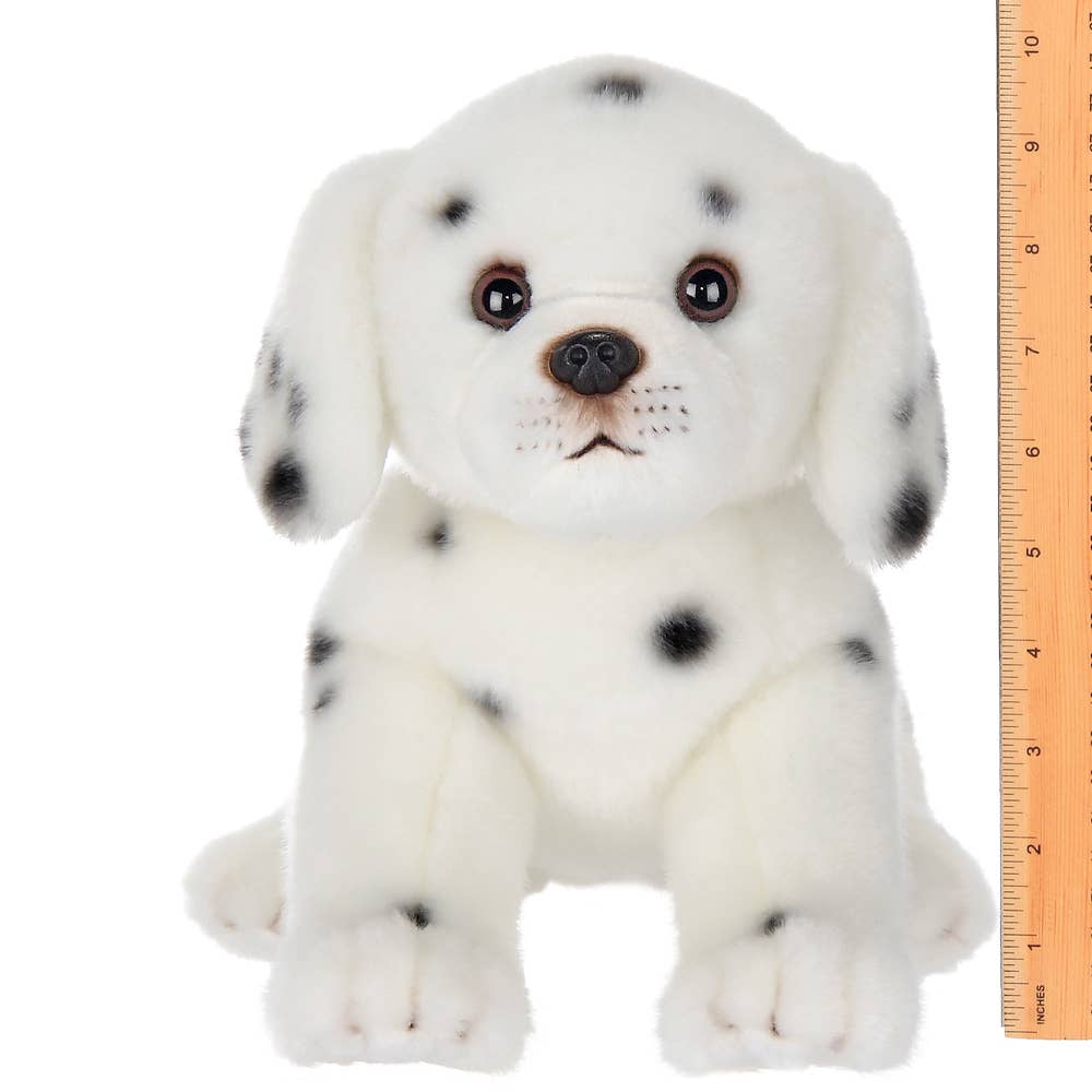 Diggs the Dalmatian — 13" Stuffed Animal Plush
