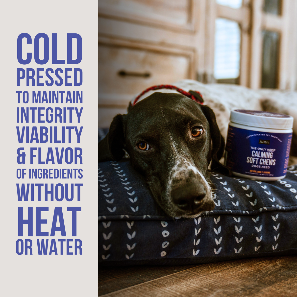 Hemp Calming Soft Chews for Dogs – 120 Count