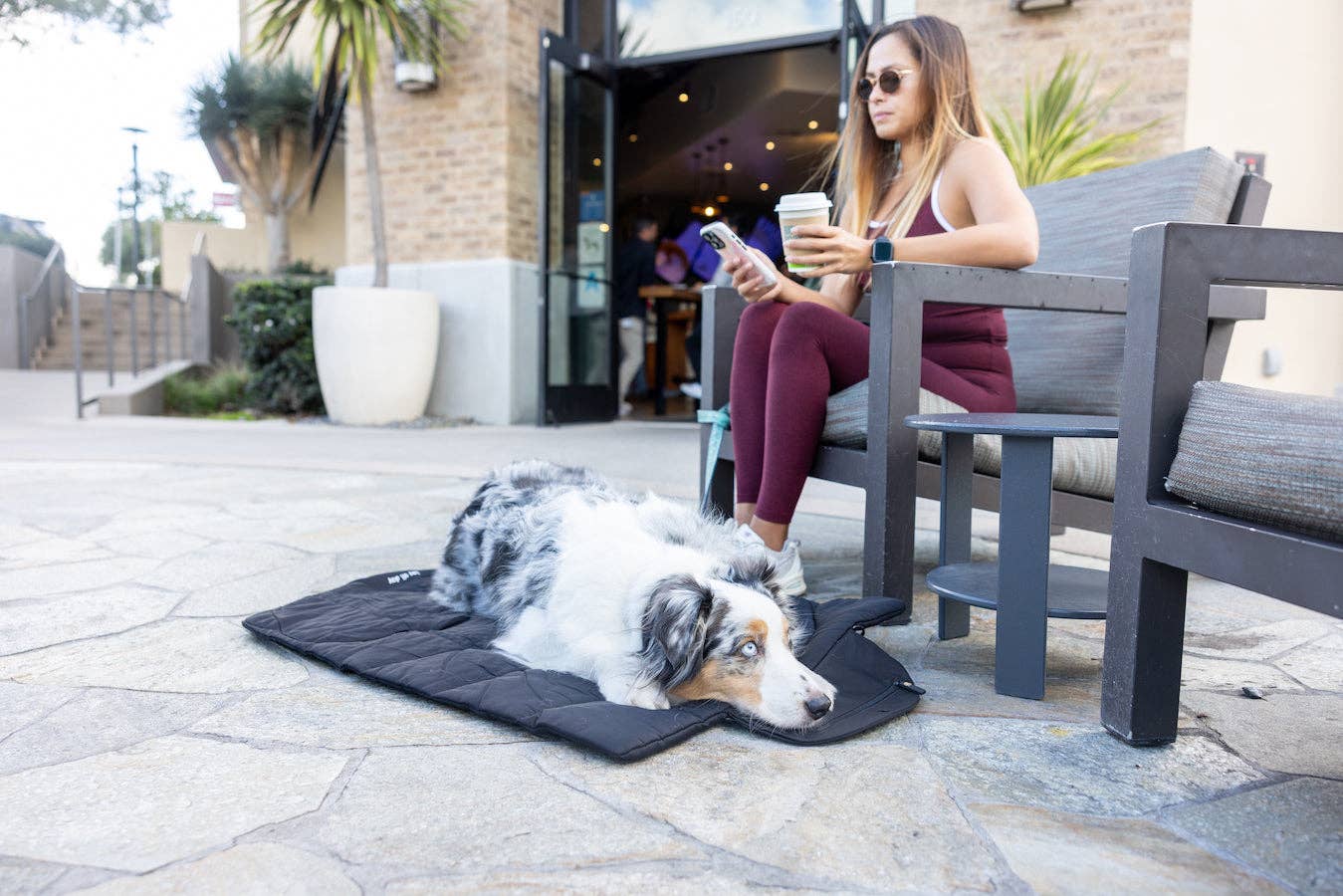 Lay All Day Travel Dog Mat