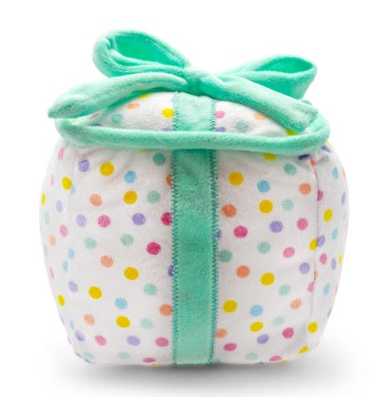 Birthday Gift Box Squeaky Plush Dog Toy | 6"