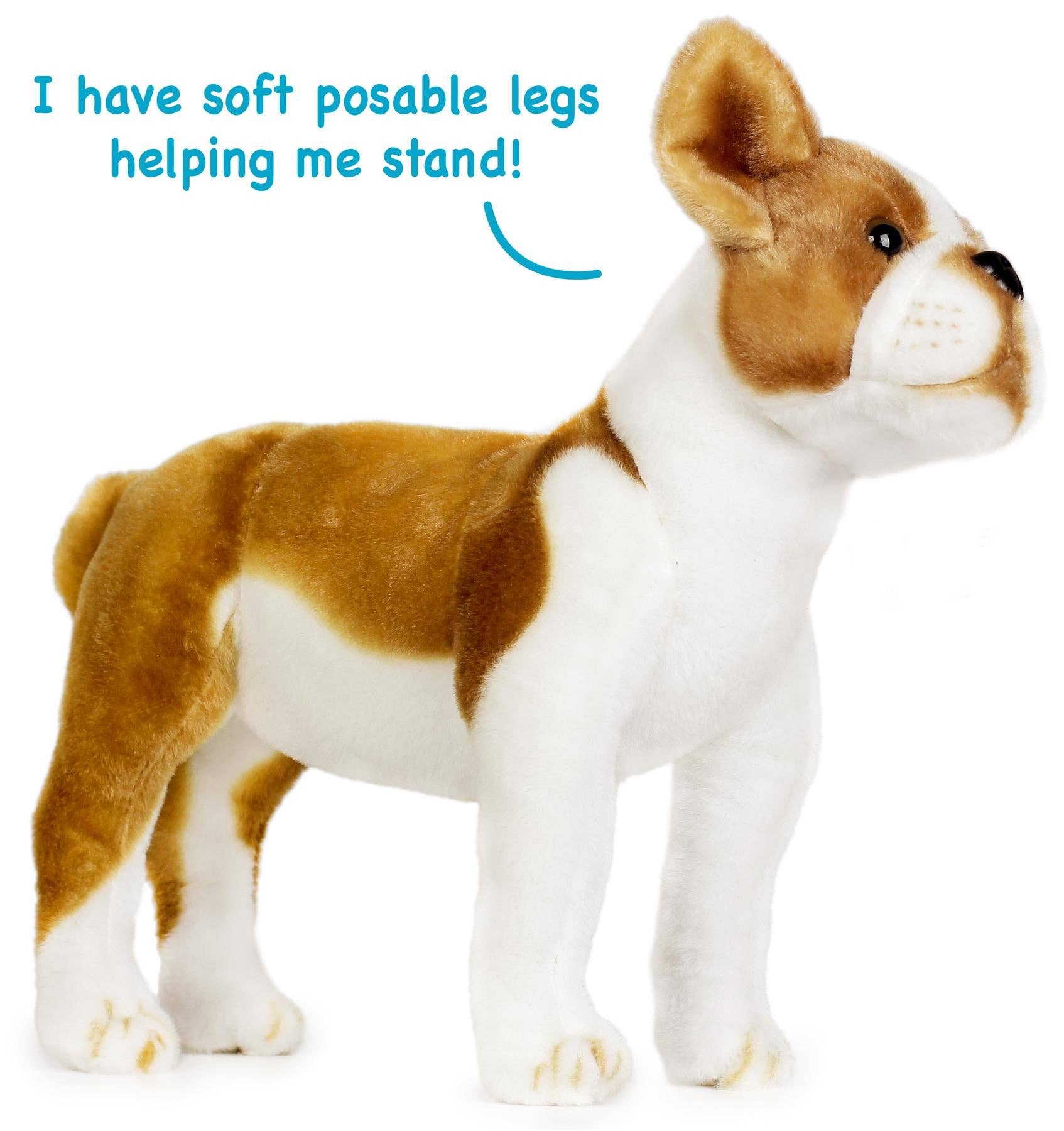 Bobby the Boston Terrier — 15" Stuffed Animal Plush