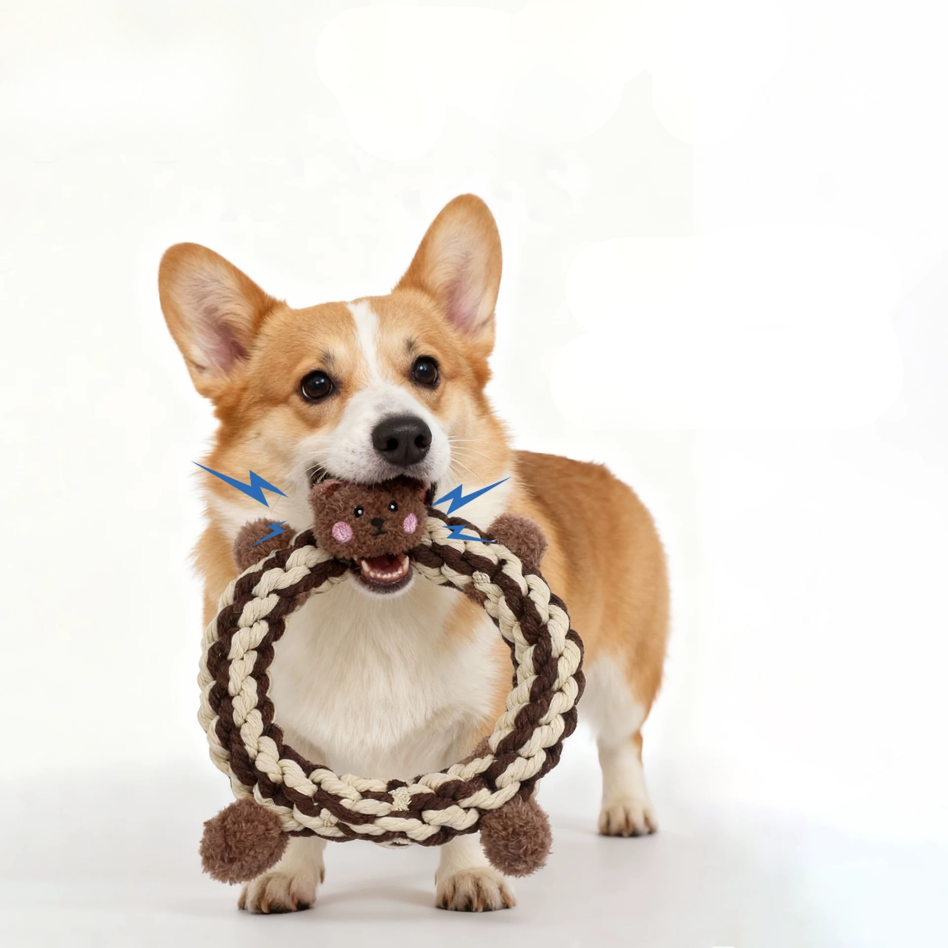 Teddy the Bear Squeaky Plush Rope Toy — Handcrafted & Eco-Friendly