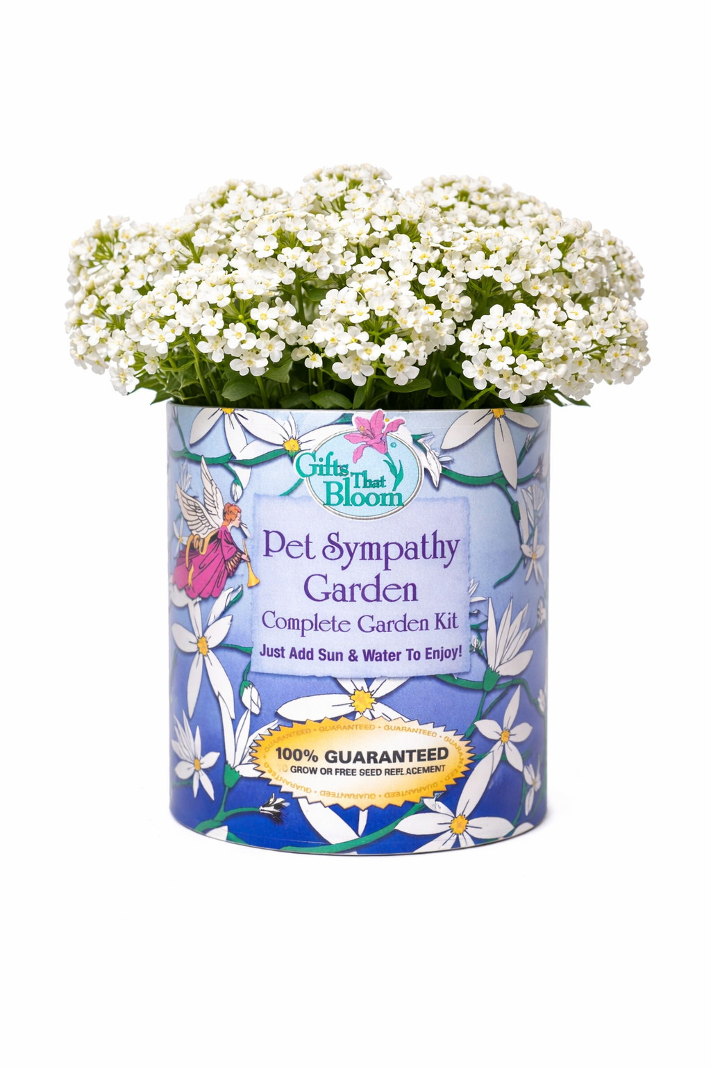 Pet Sympathy Garden Grocan Seed Kit