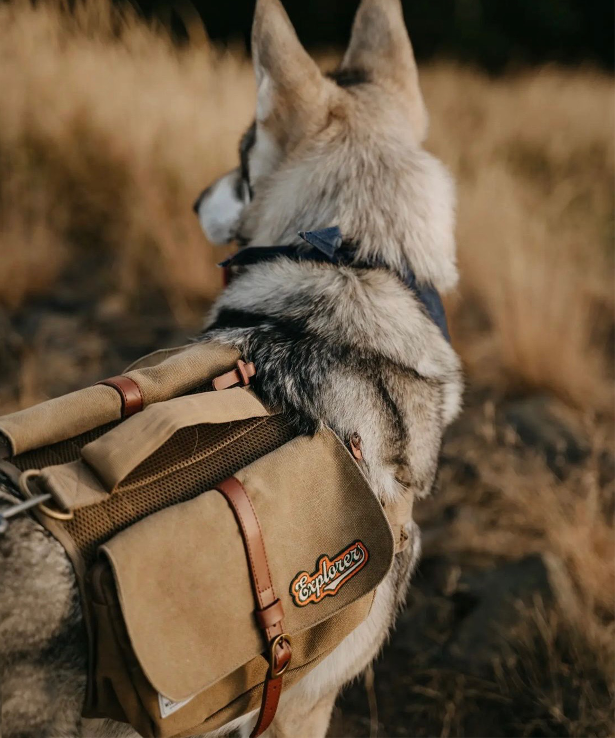 Explorer Iron-on Adventure Patch