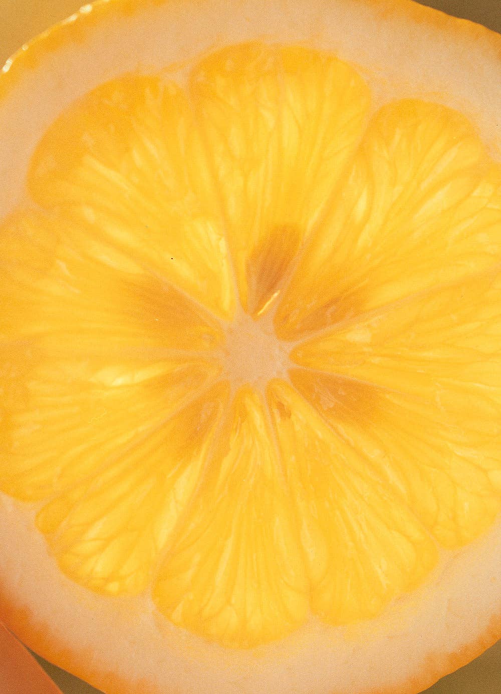 Meyer Lemon & Honey Marmalade by Marmalade Grove