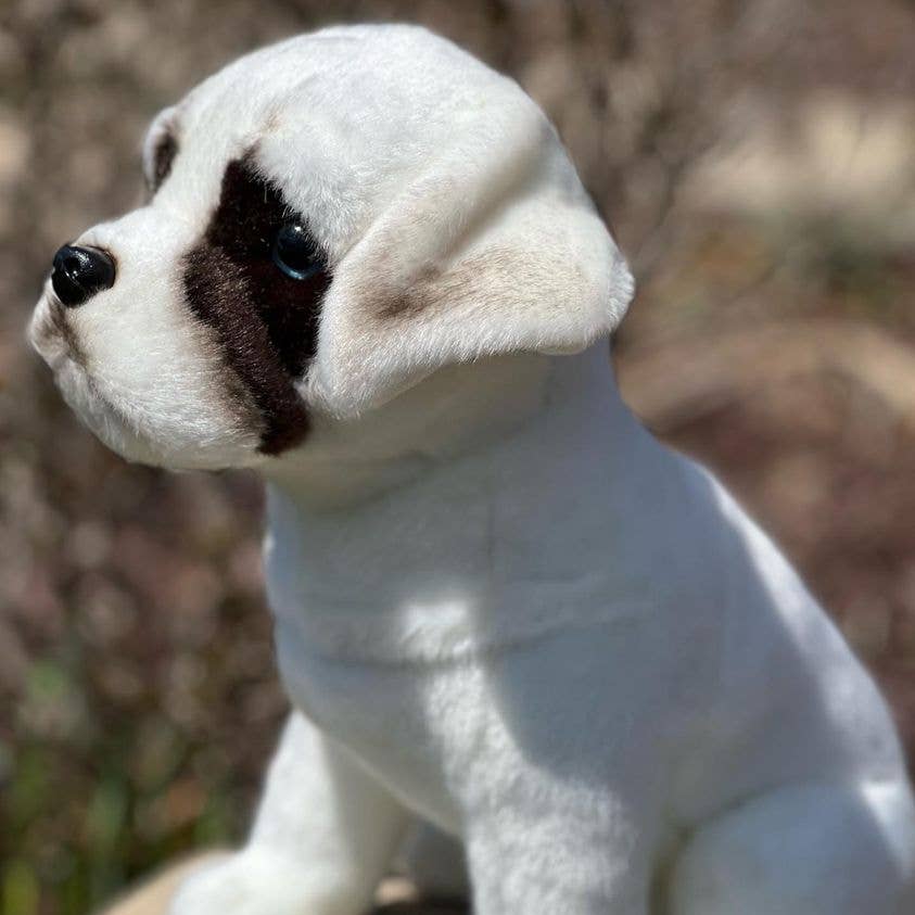 Zander the White Boxer — 12" Stuffed Animal Plush