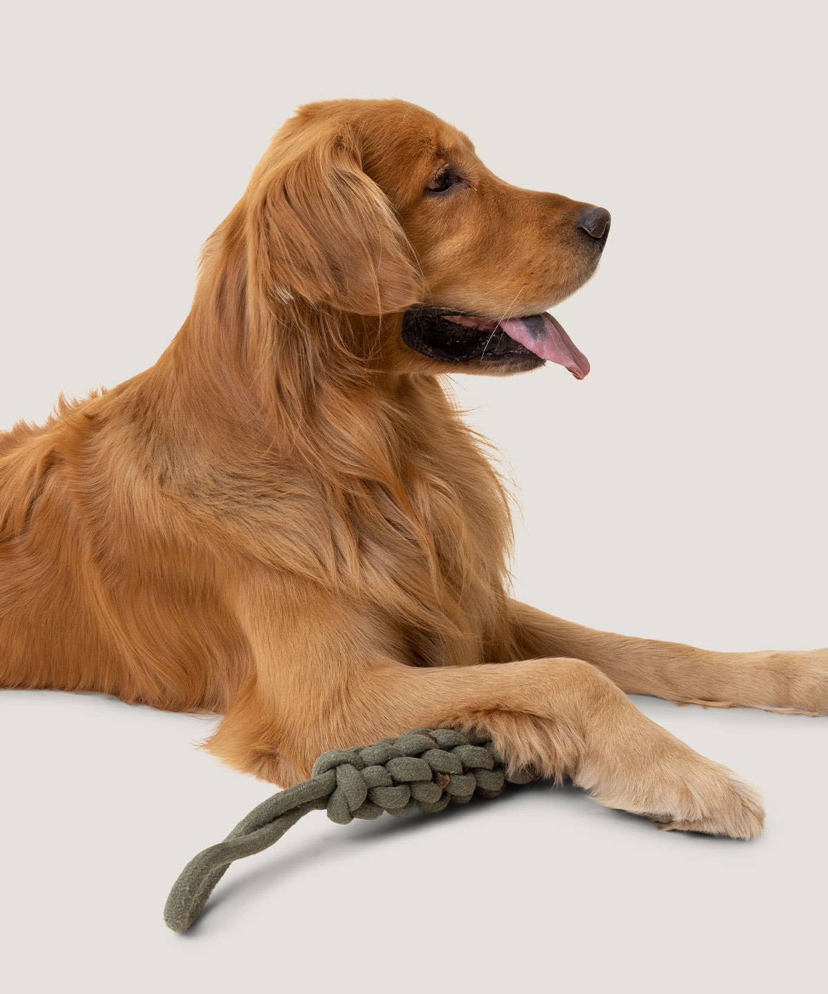 Rope Toss Toy - Hugo's Favorite
