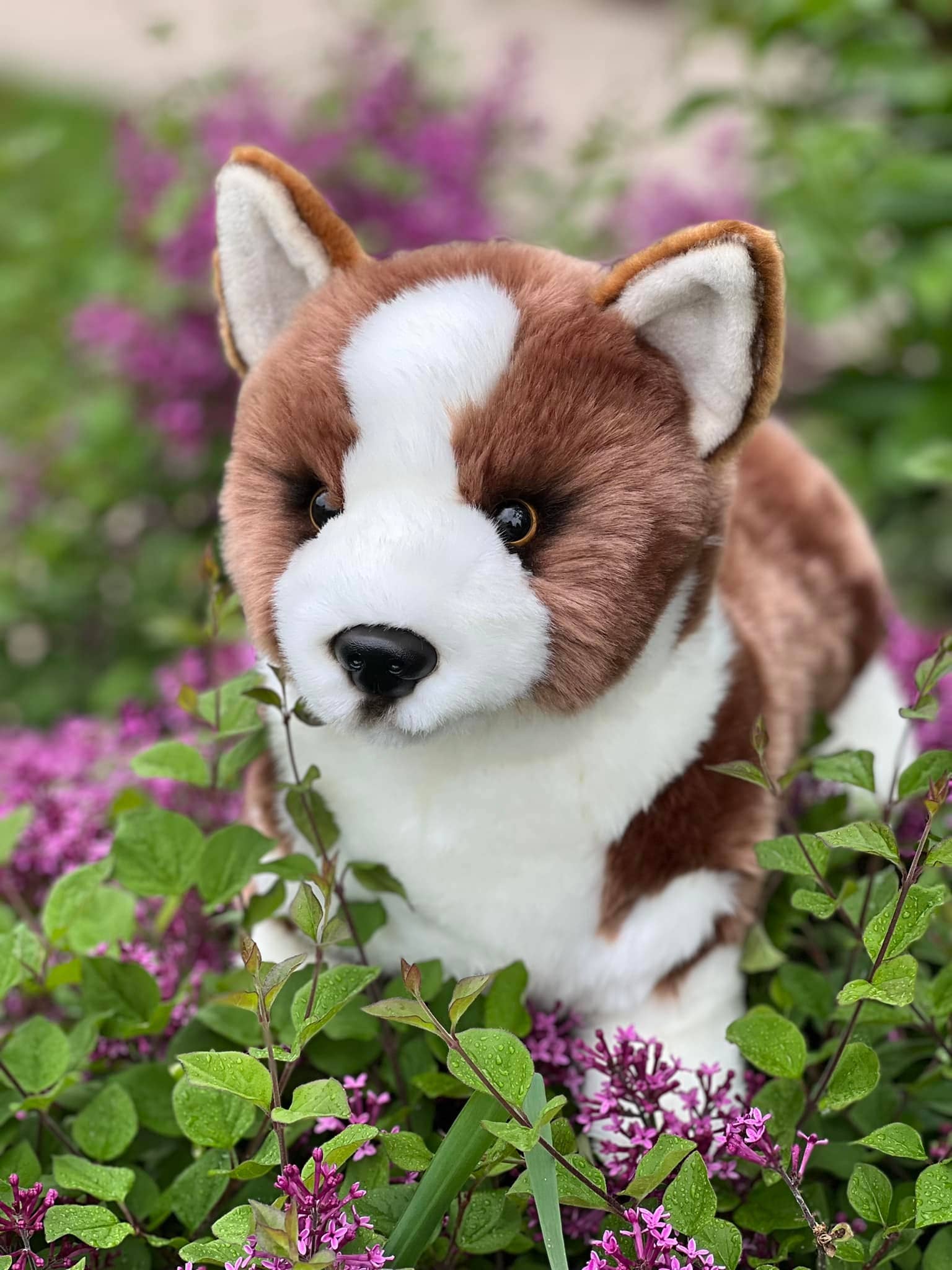 Pembroke the Corgi — 17" Stuffed Animal Plush