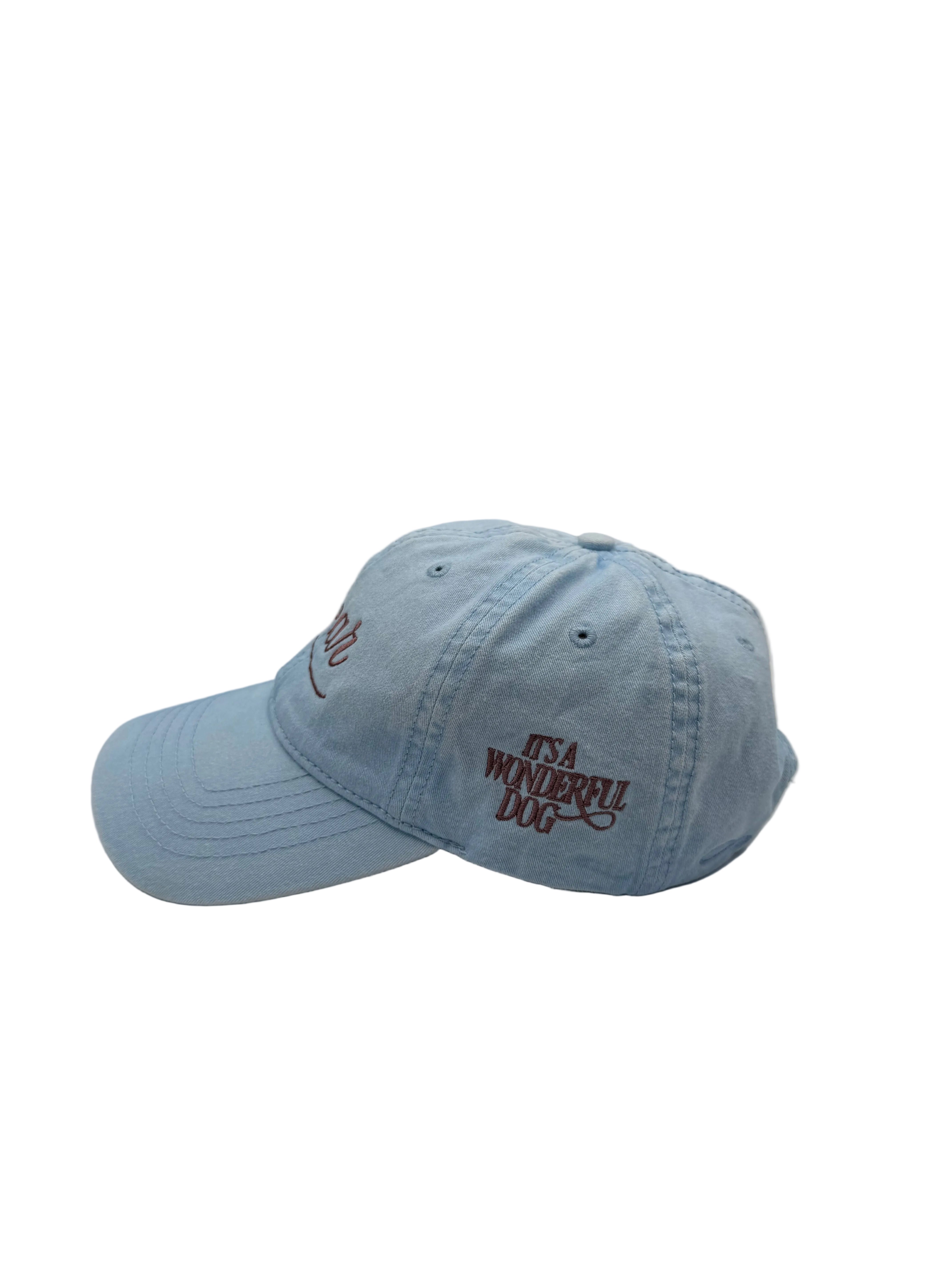 The Bear Cap – It’s a Wonderful Dog