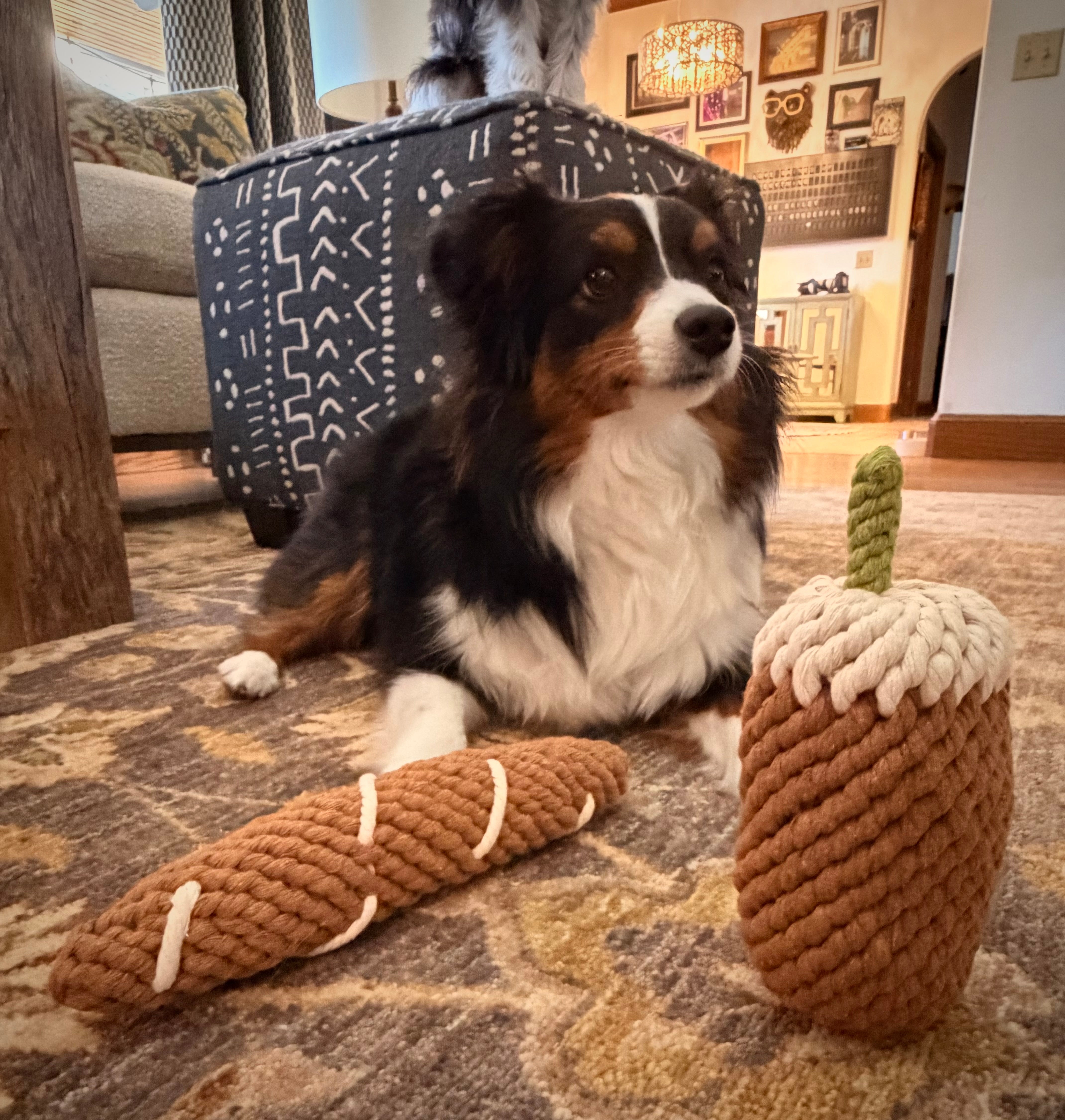 French Baguette Rope Toy