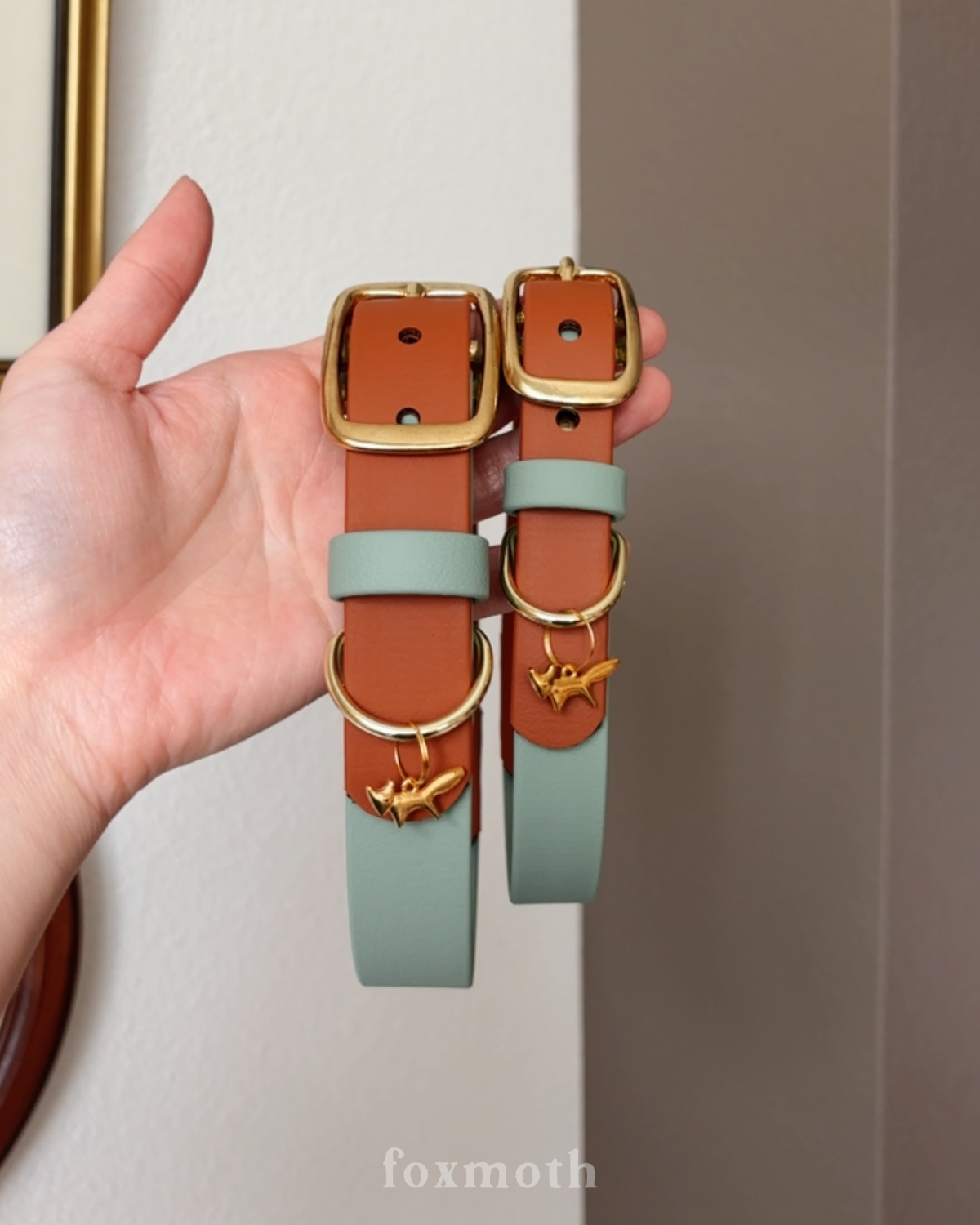 Two-Toned Dog Collar
