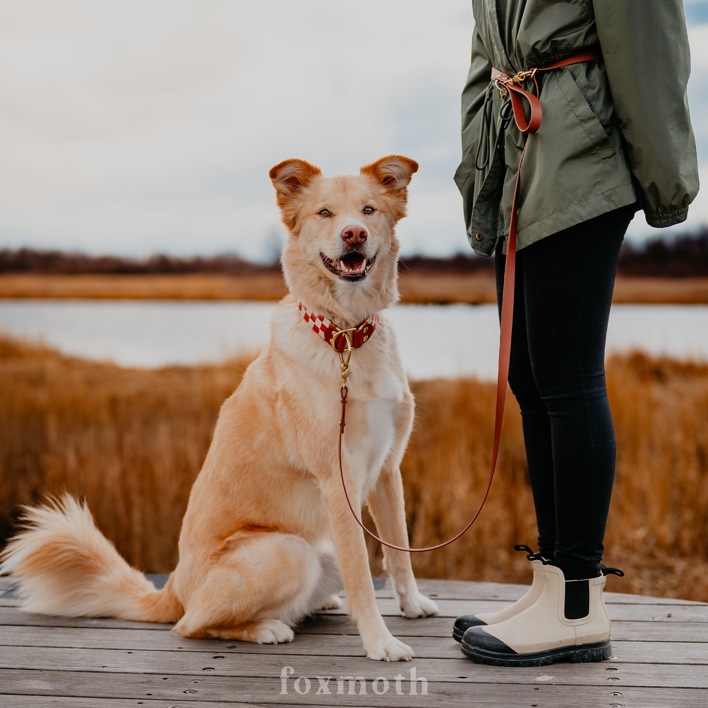 Waterproof Hands-Free Dog Leash