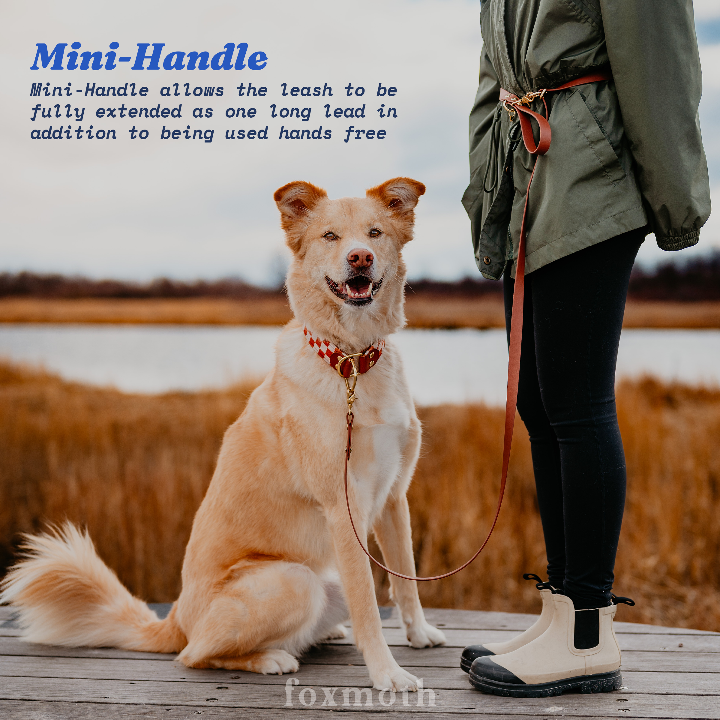 Waterproof Hands-Free Dog Leash