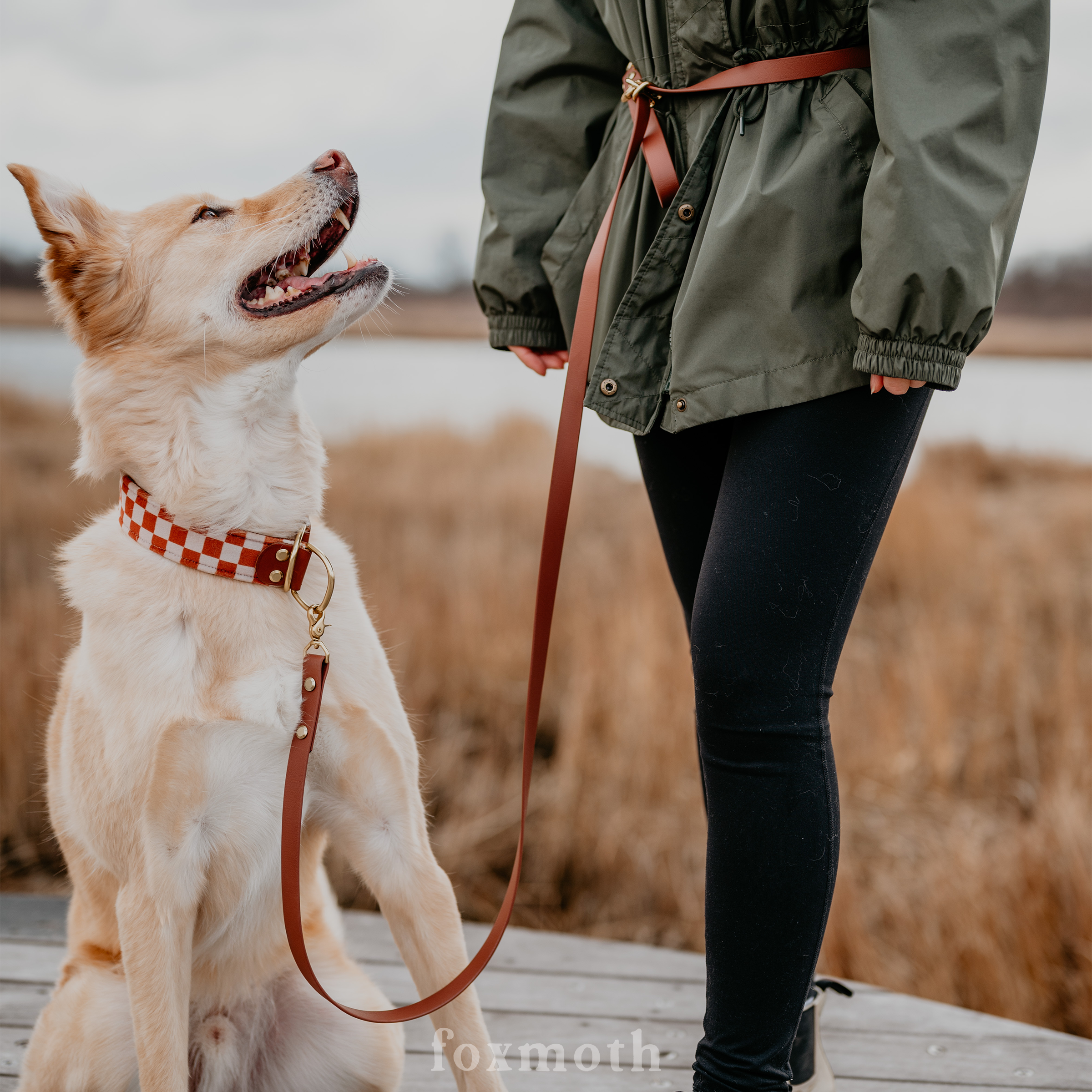 Waterproof Hands-Free Dog Leash