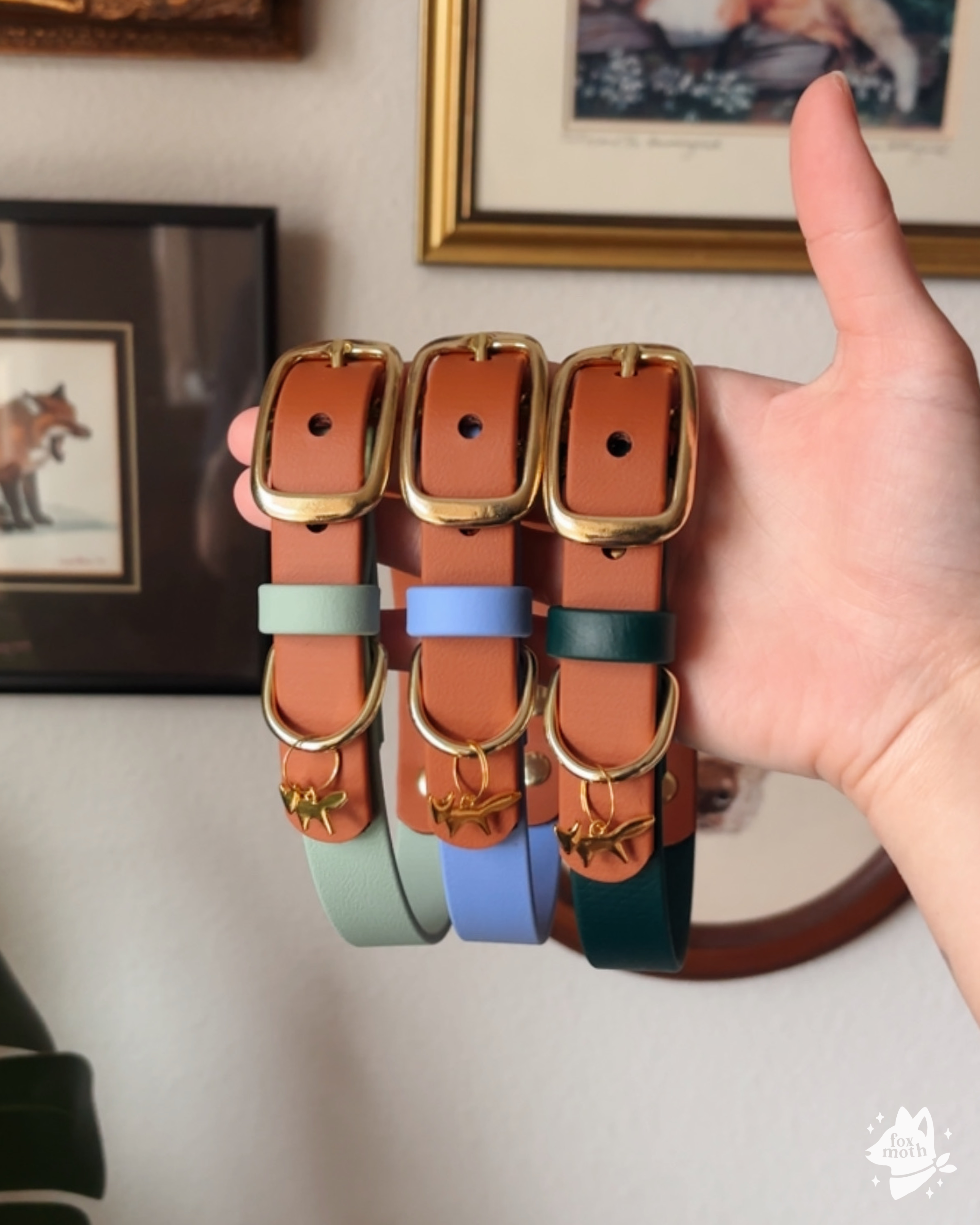 Two-Toned Dog Collar