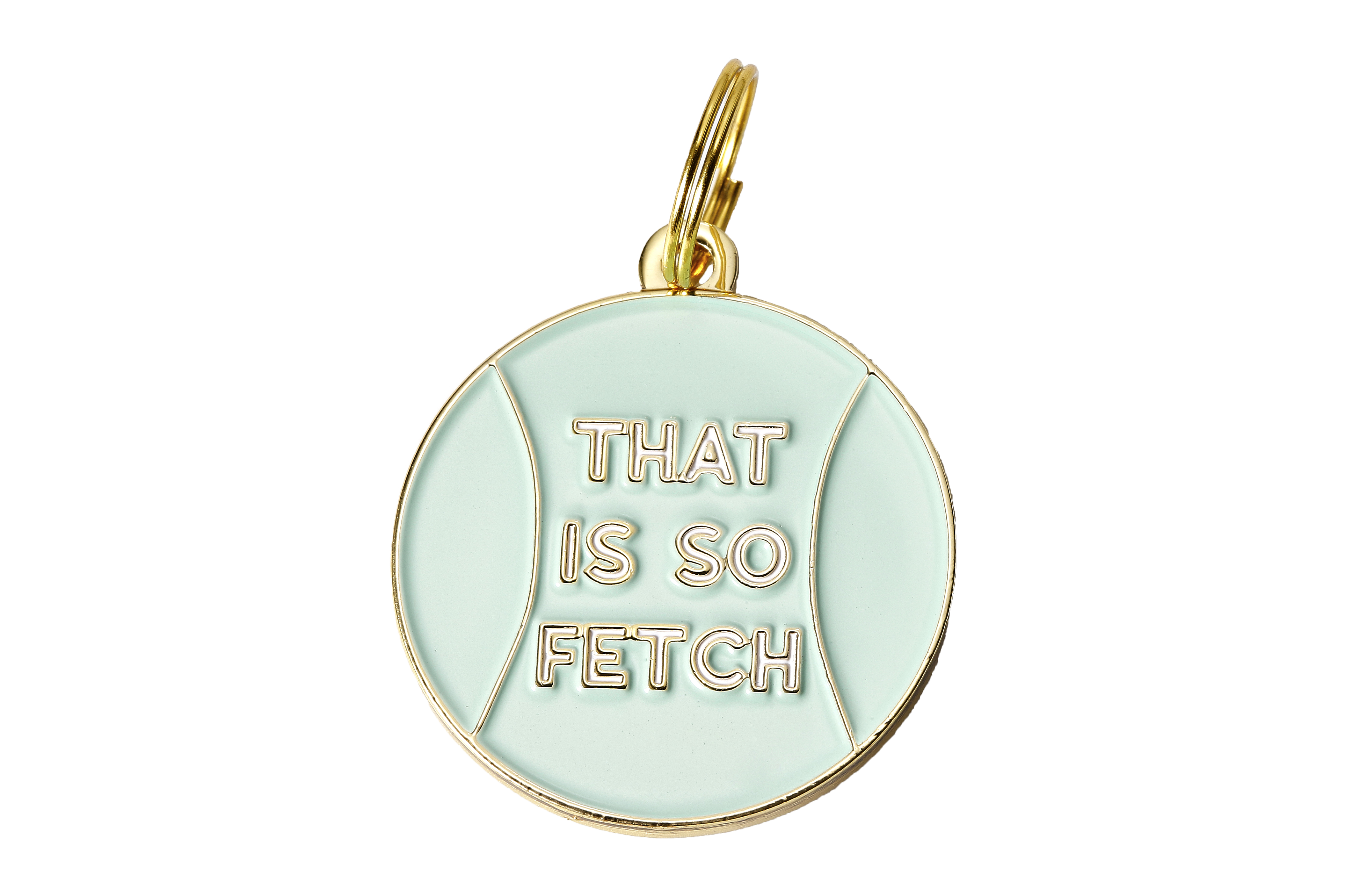 Funny & Sassy Pet Collar Tags